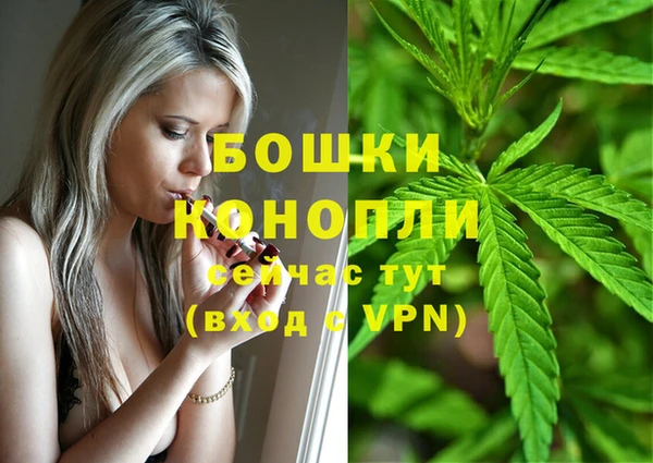 MESCALINE Горняк