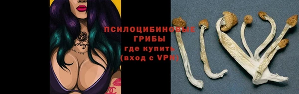 MESCALINE Горняк