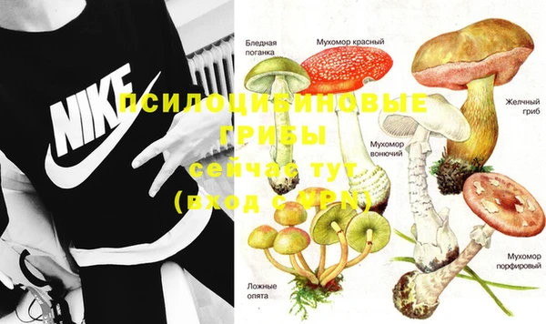 скорость Горнозаводск