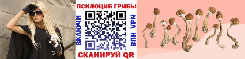 Галлюциногенные грибы мицелий  Купить  Ельня 